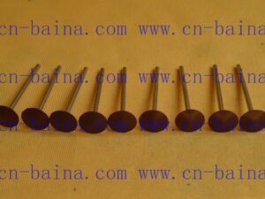 Flathead Reddish brown flex rubber polisher